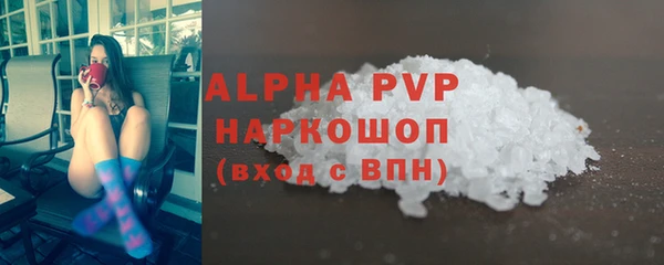 стаф Богданович