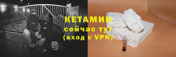 стаф Богданович