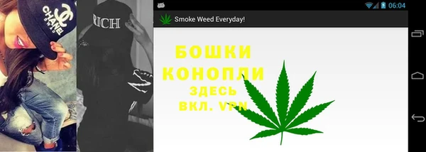 стаф Богданович