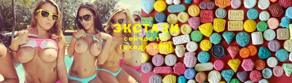 стаф Богданович