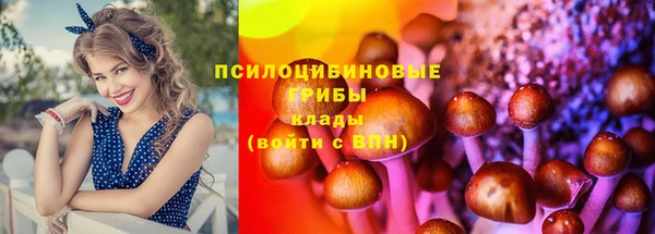 соль курить ск Богородицк