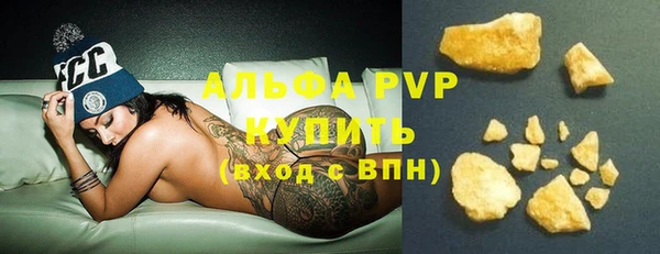 стаф Богданович
